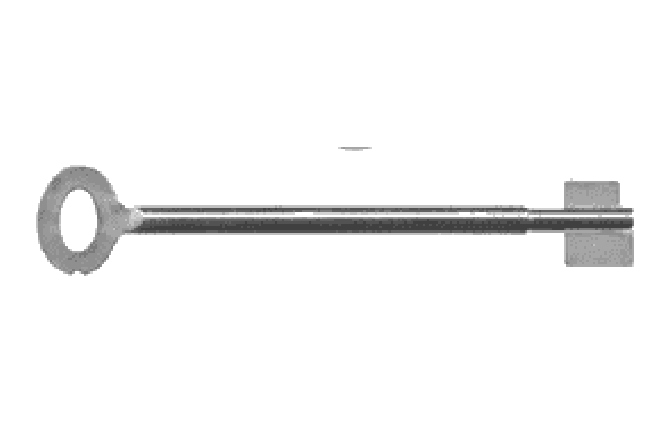 LIPS sleutel losse steel met oog (20 cm lang)
