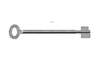 LIPS sleutel losse steel met oog (20 cm lang)
